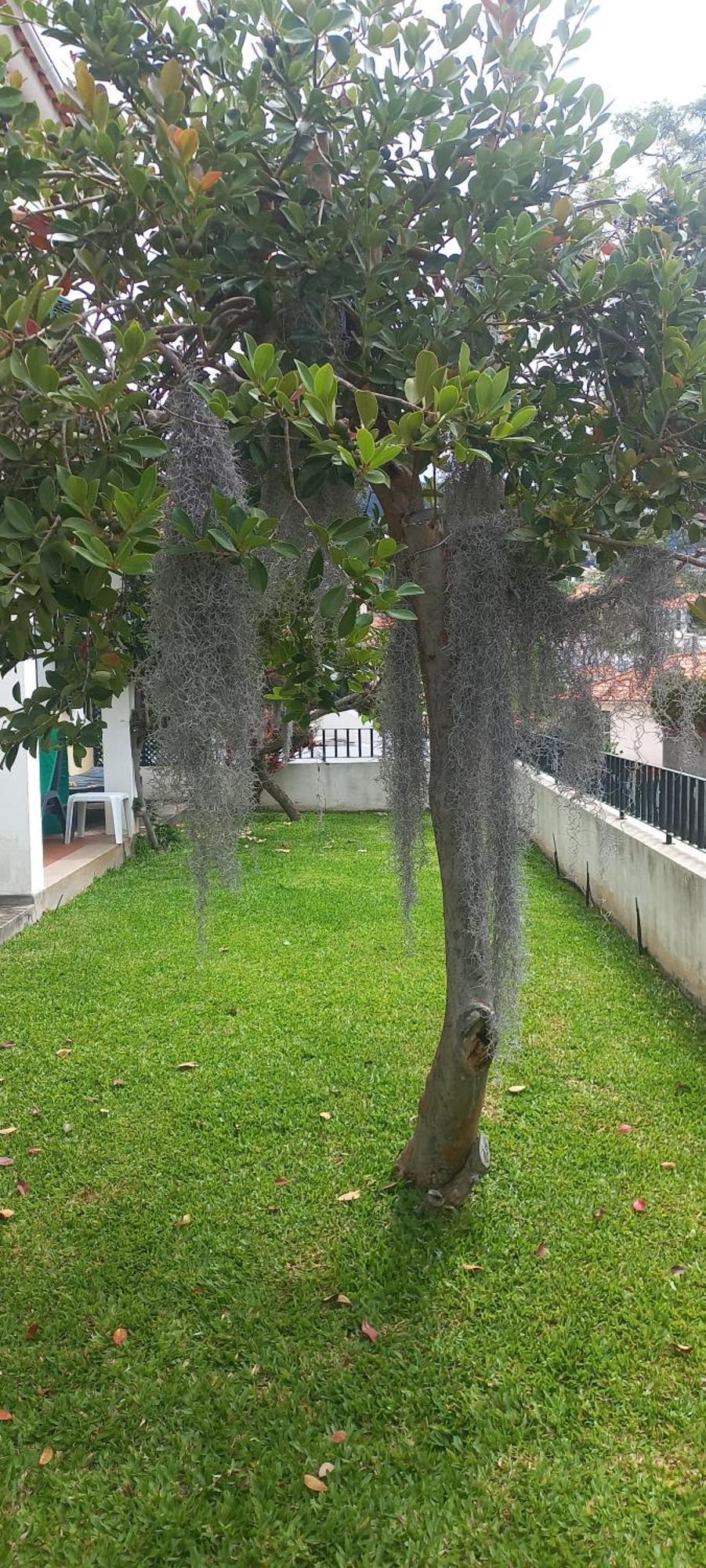Villa Cosy Nook 丰沙尔 外观 照片
