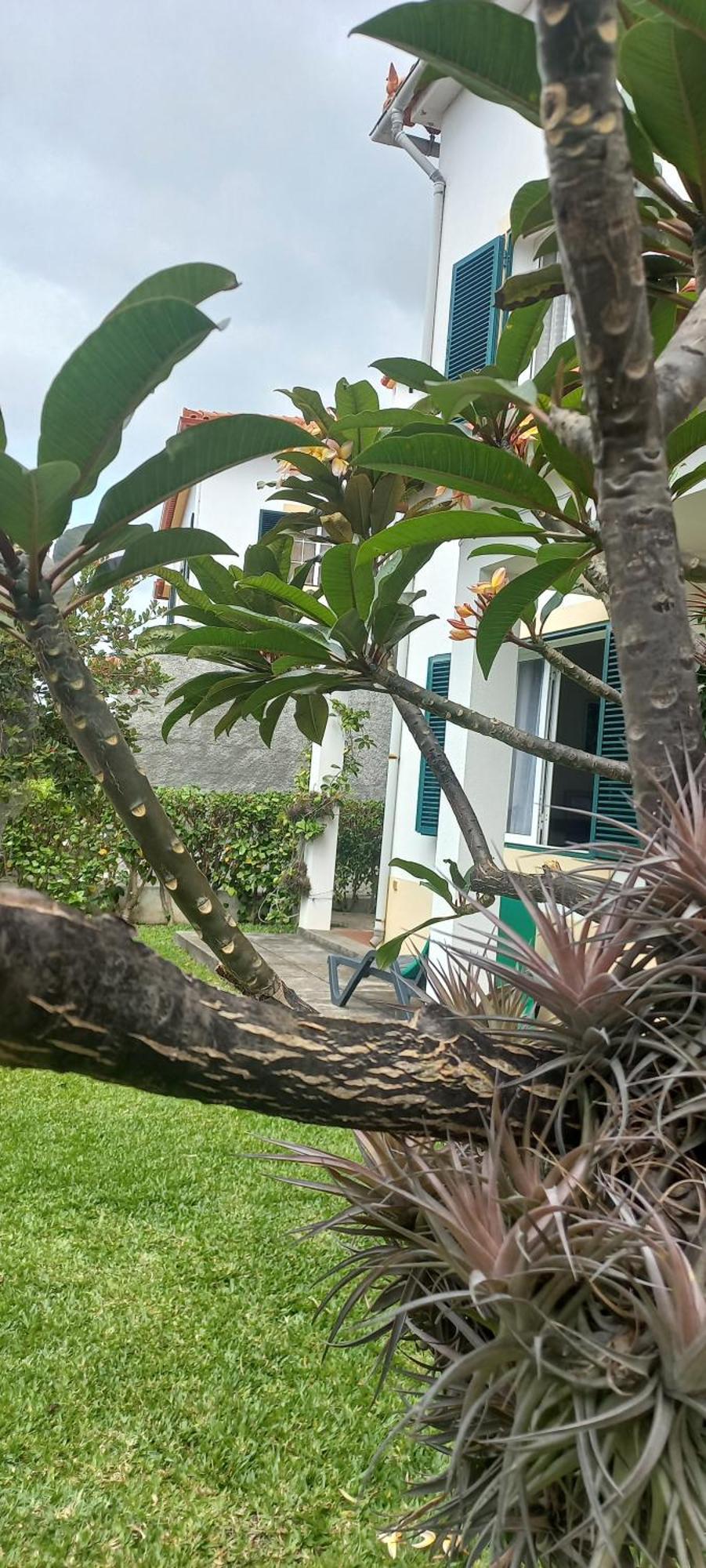 Villa Cosy Nook 丰沙尔 外观 照片