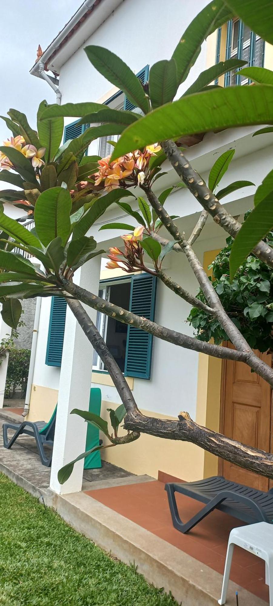 Villa Cosy Nook 丰沙尔 外观 照片